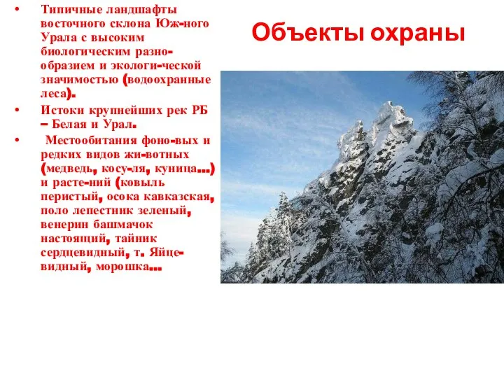 Объекты охраны Типичные ландшафты восточного склона Юж-ного Урала с высоким биологическим