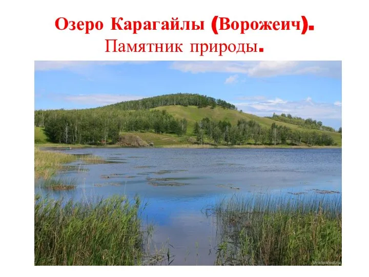 Озеро Карагайлы (Ворожеич). Памятник природы.