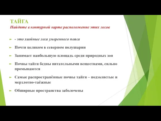 ТАЙГА Найдите в контурной карте расположение этих лесов - это хвойные