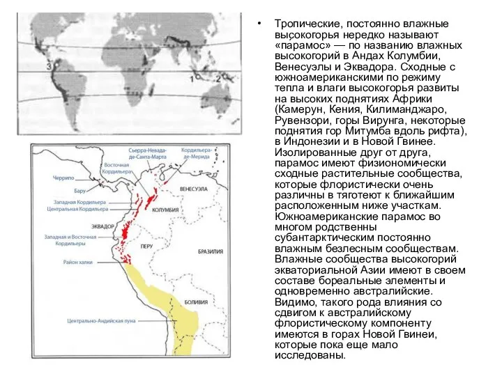 Тропические, постоянно влажные высокогорья нередко называют «па́рамос» — по названию влажных