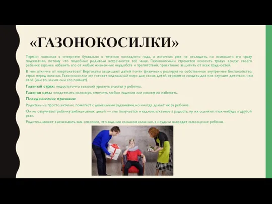 «ГАЗОНОКОСИЛКИ» Термин появился в интернете буквально в течение последнего года, и