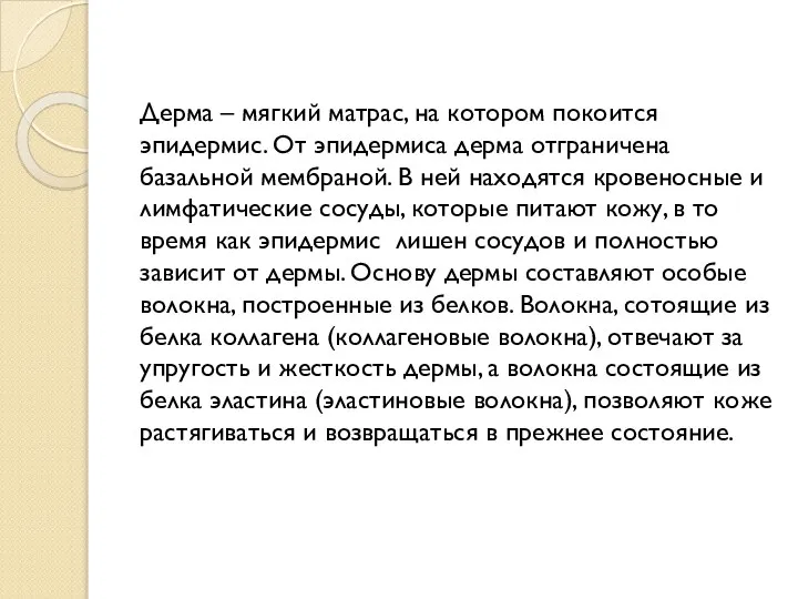 Дерма – мягкий матрас, на котором покоится эпидермис. От эпидермиса дерма