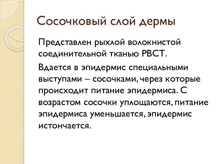 Сосочковый слой дермы Представлен рыхлой волокнистой соединительной тканью РВСТ. Вдается в