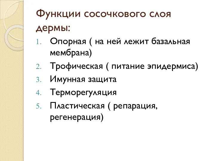 Функции сосочкового слоя дермы: Опорная ( на ней лежит базальная мембрана)