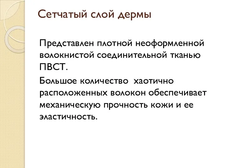 Сетчатый слой дермы Представлен плотной неоформленной волокнистой соединительной тканью ПВСТ. Большое