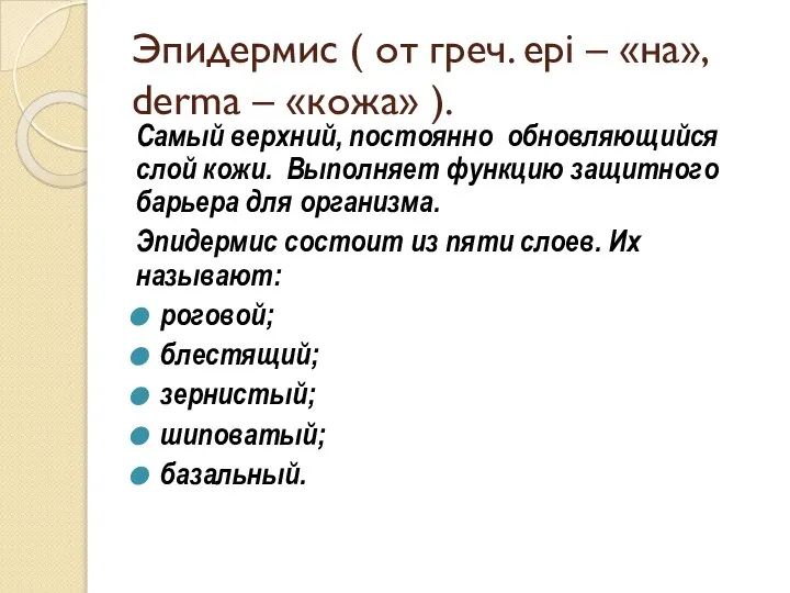 Эпидермис ( от греч. epi – «на», derma – «кожа» ).