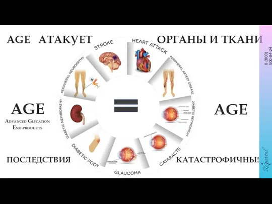 AGE ADVANCED GLYCATION END-PRODUCTS AGE АТАКУЕТ ОРГАНЫ И ТКАНИ ПОСЛЕДСТВИЯ КАТАСТРОФИЧНЫ! AGE