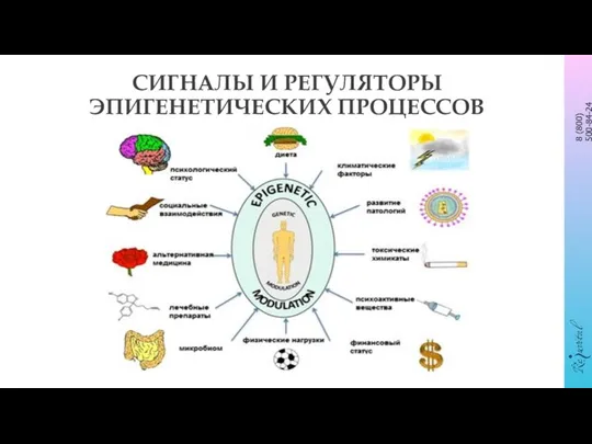 СИГНАЛЫ И РЕГУЛЯТОРЫ ЭПИГЕНЕТИЧЕСКИХ ПРОЦЕССОВ