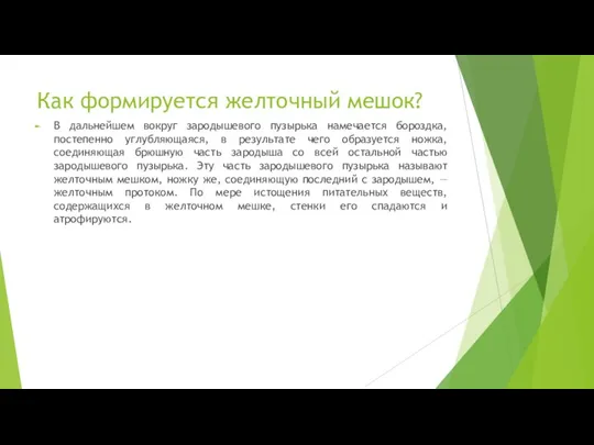 Как формируется желточный мешок? В дальнейшем вокруг зародышевого пузырька намечается бороздка,