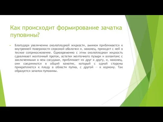 Как происходит формирование зачатка пуповины? Благодаря увеличению околоплодной жидкости, амнион приближается