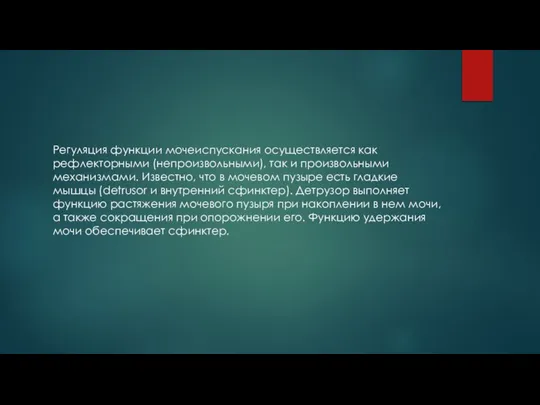 Регуляция функции мочеиспускания осуществляется как рефлекторны­ми (непроизвольными), так и произвольными механизмами.