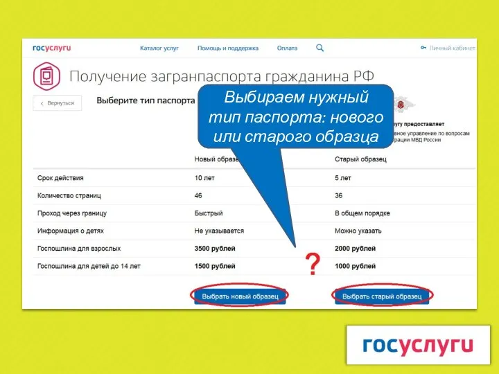 Выбираем нужный тип паспорта: нового или старого образца