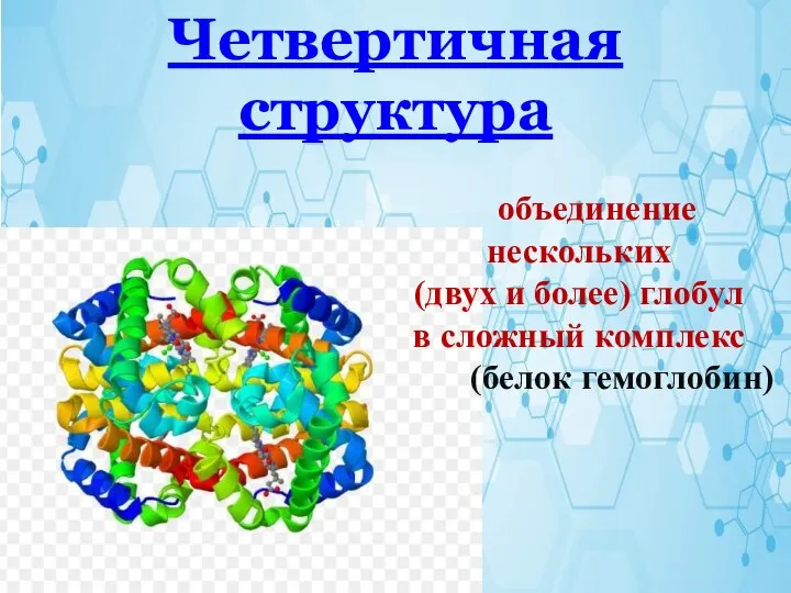 Четвертичная структура объединение нескольких (двух и более) глобул в сложный комплекс (белок гемоглобин)