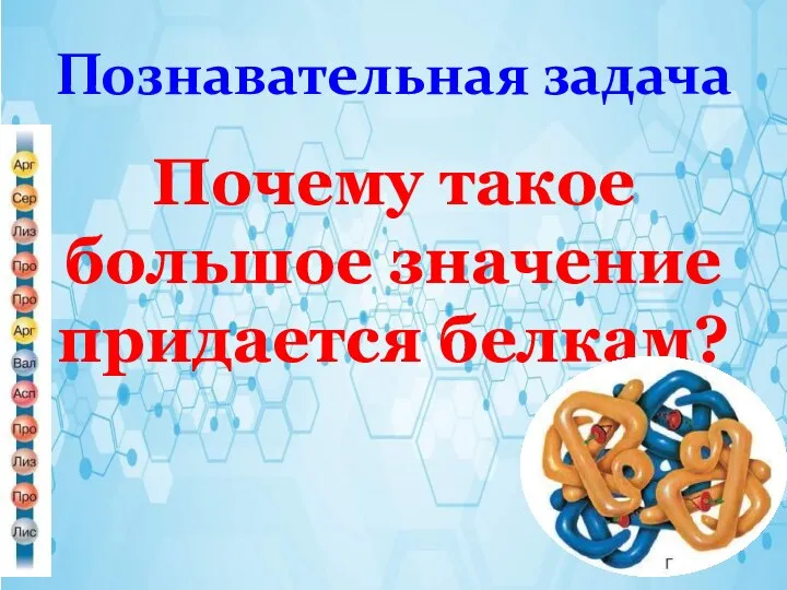 Познавательная задача Почему такое большое значение придается белкам?