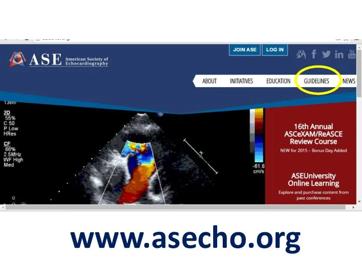 www.asecho.org