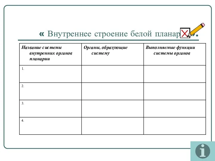 « Внутреннее строение белой планарии».