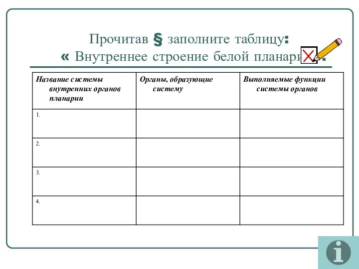 Прочитав § заполните таблицу: « Внутреннее строение белой планарии».