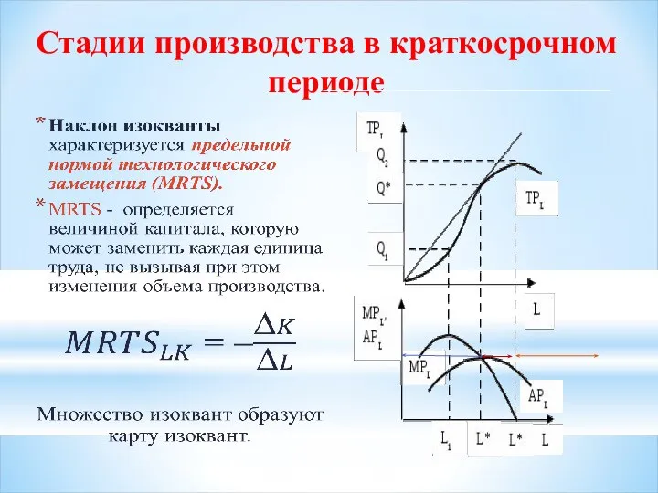 Стадии производства в краткосрочном периоде