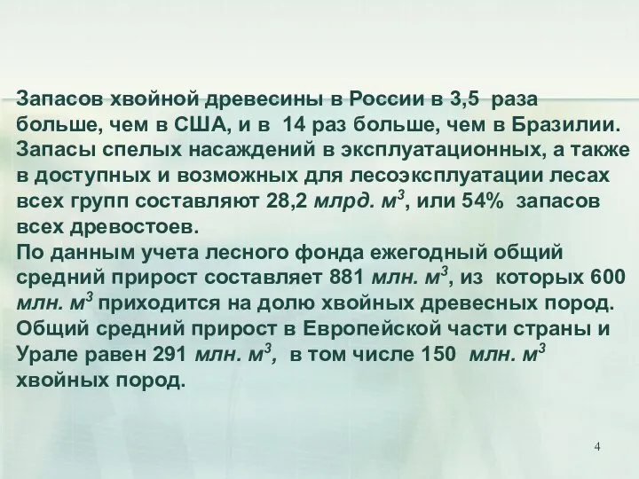 Запасов хвойной древесины в России в 3,5 раза больше, чем в