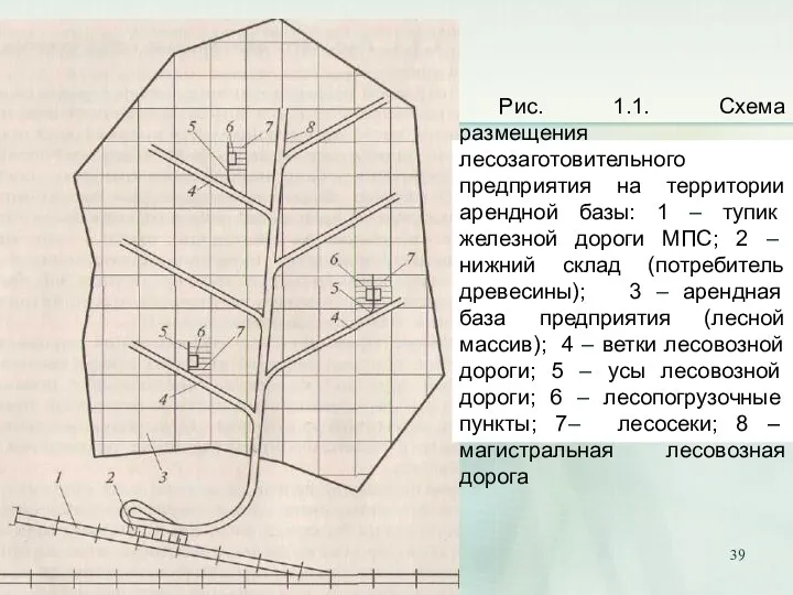 Рис. 1.1. Схема размещения лесозаготовительного предприятия на территории арендной базы: 1