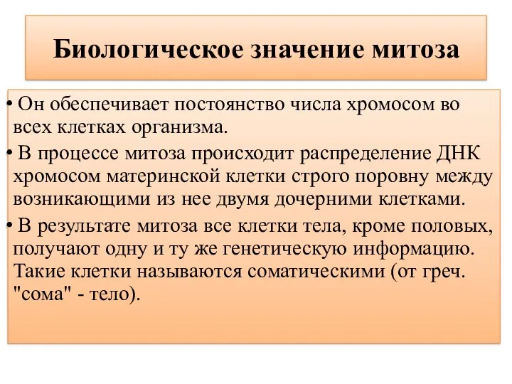 Биологическое значение митоза Он обеспечивает постоянство числа хромосом во всех клетках