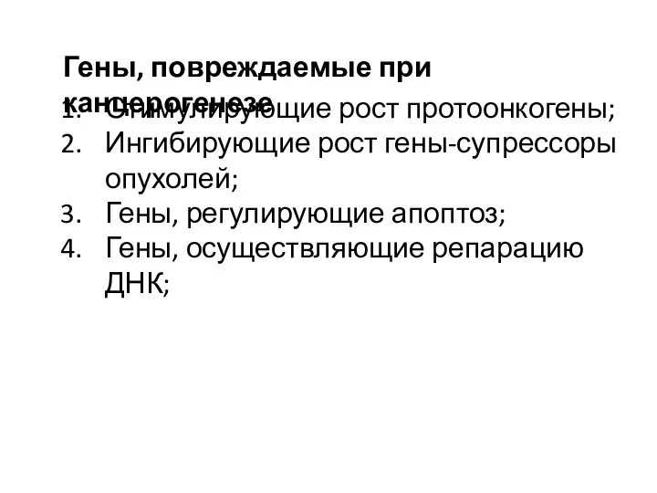 Гены, повреждаемые при канцерогенезе Стимулирующие рост протоонкогены; Ингибирующие рост гены-супрессоры опухолей;