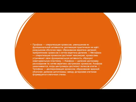 Профаза — спирализация хромосом, уменьшение их функциональной активности; репликация практически не