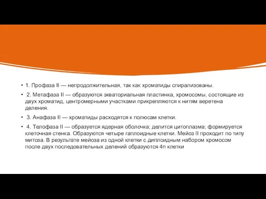 1. Профаза II — непродолжительная, так как хроматиды спирализованы. 2. Метафаза