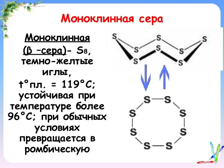 Моноклинная сера Моноклинная (β –сера)- S8, темно-желтые иглы, t°пл. = 119°C;