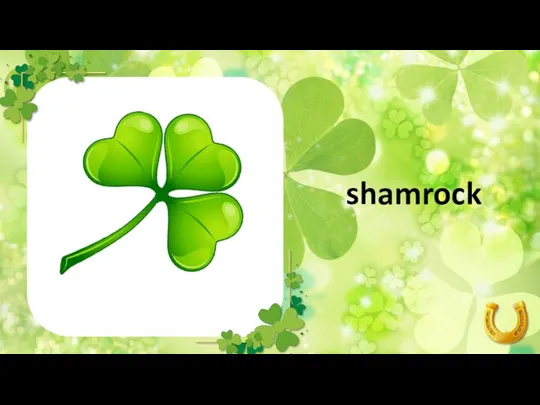 shamrock