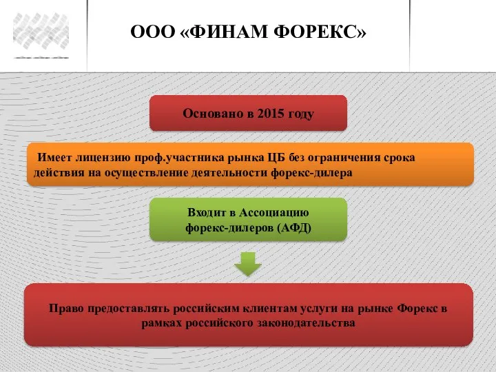 ООО «ФИНАМ ФОРЕКС» Основано в 2015 году Имеет лицензию проф.участника рынка