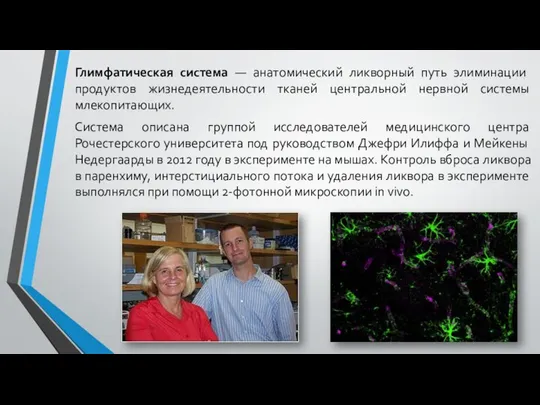 Глимфатическая система — анатомический ликворный путь элиминации продуктов жизнедеятельности тканей центральной