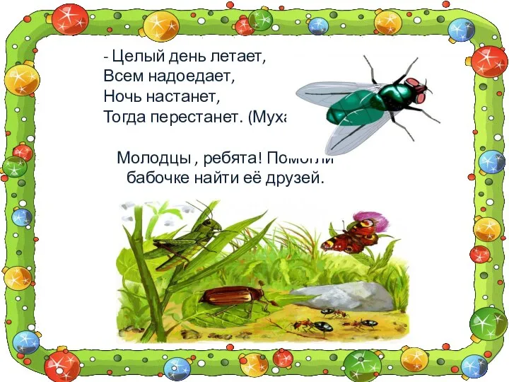 - Целый день летает, Всем надоедает, Ночь настанет, Тогда перестанет. (Муха)