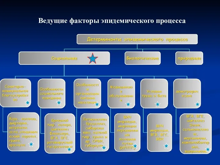 Ведущие факторы эпидемического процесса