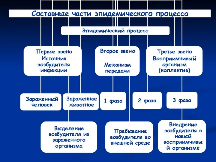 Составные части эпидемического процесса