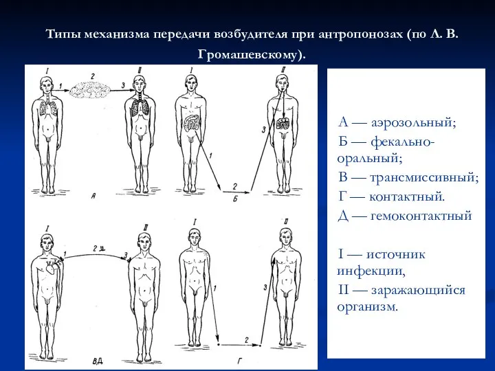 Типы механизма передачи возбудителя при антропонозах (по Л. В. Громашевскому). А