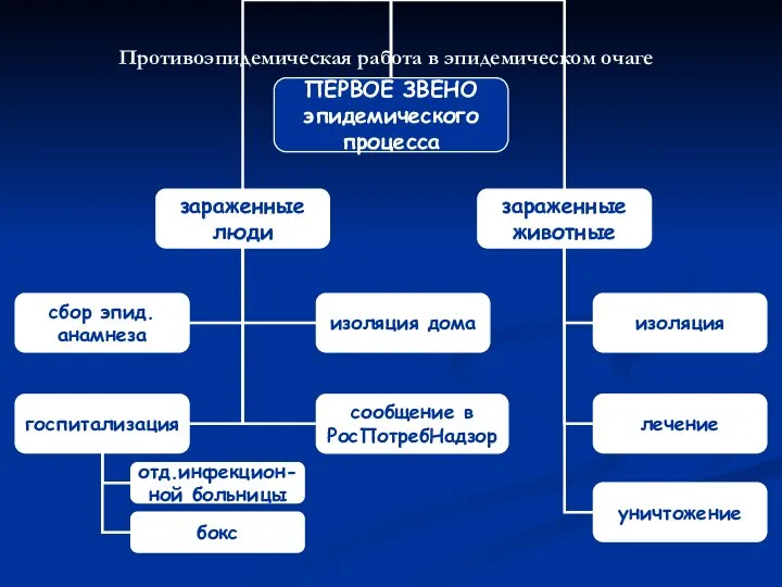 Противоэпидемическая работа в эпидемическом очаге