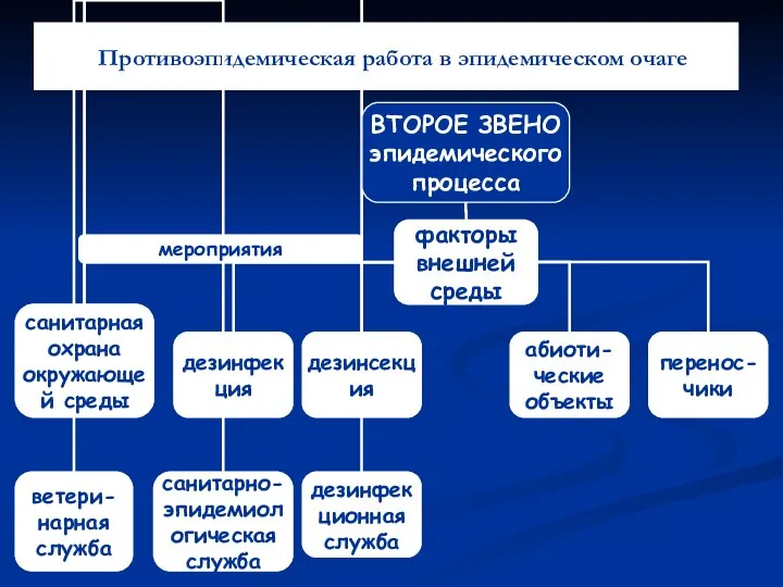 Противоэпидемическая работа в эпидемическом очаге