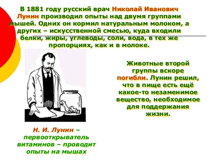 Н. И. Лунин – первооткрыватель витаминов – проводит опыты на мышах