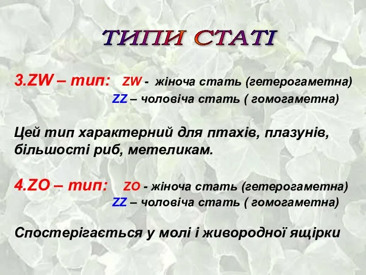 ТИПИ СТАТІ 3.ZW – тип: ZW - жіноча стать (гетерогаметна) ZZ