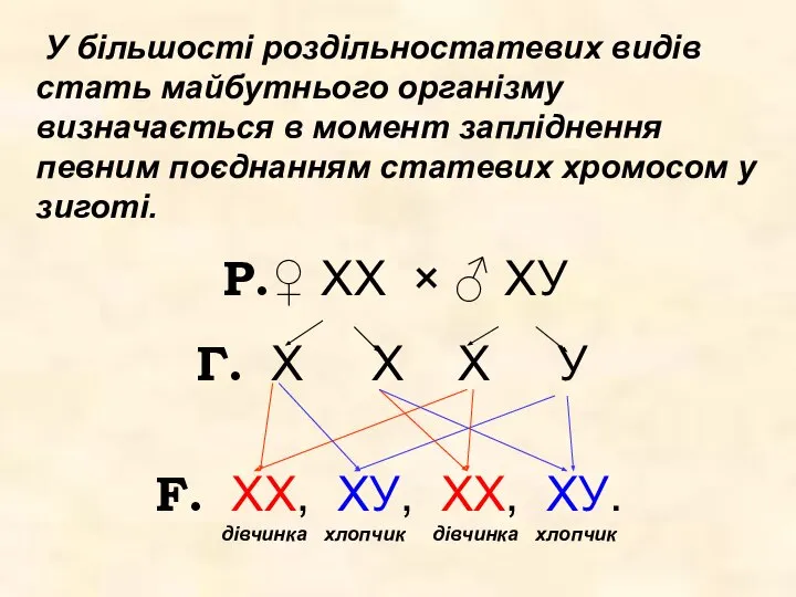 У більшості роздільностатевих видів стать майбутнього організму визначається в момент запліднення