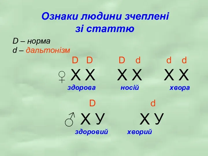 Ознаки людини зчеплені зі статтю D – норма d – дальтонізм