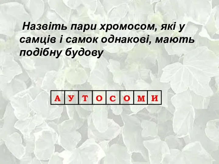 Назвіть пари хромосом, які у самців і самок однакові, мають подібну