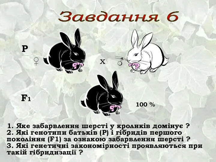 1. Яке забарвлення шерсті у кроликів домінує ? 2. Які генотипи