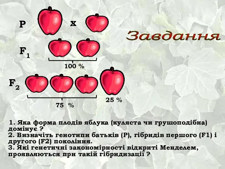 1. Яка форма плодів яблука (куляста чи грушоподібна) домінує ? 2.