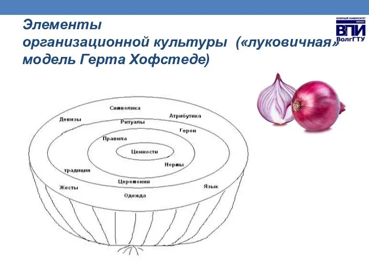 Элементы организационной культуры («луковичная» модель Герта Хофстеде)