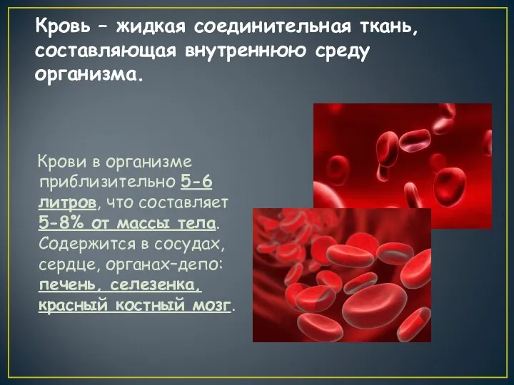 Кровь – жидкая соединительная ткань, составляющая внутреннюю среду организма. Крови в