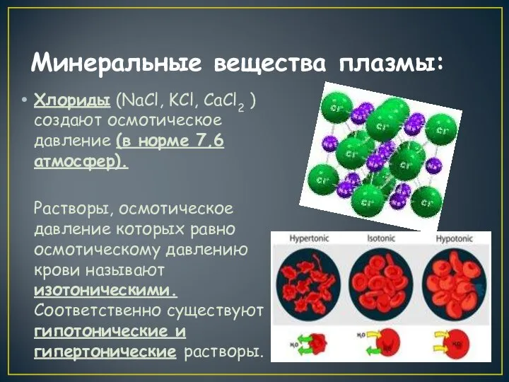 Минеральные вещества плазмы: Хлориды (NaCl, KCl, CaCl2 ) создают осмотическое давление