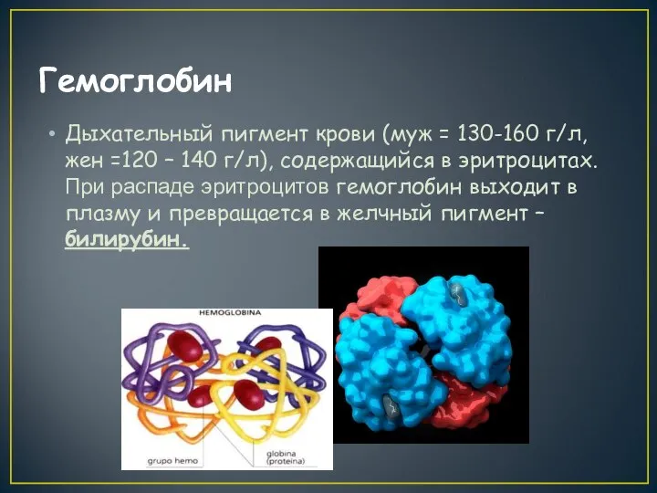 Гемоглобин Дыхательный пигмент крови (муж = 130-160 г/л, жен =120 –