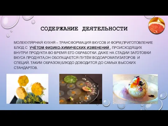 СОДЕРЖАНИЕ ДЕЯТЕЛЬНОСТИ МОЛЕКУЛЯРНАЯ КУХНЯ – ТРАНСФОРМАЦИЯ ВКУСОВ И ФОРМ,ПРИГОТОВЛЕНИЕ БЛЮД С